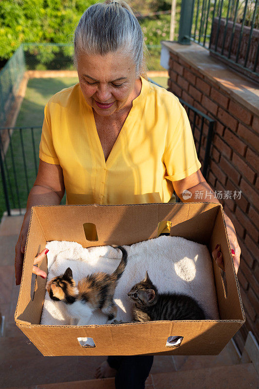 快乐的女人带着装在盒子里的获救猫回家