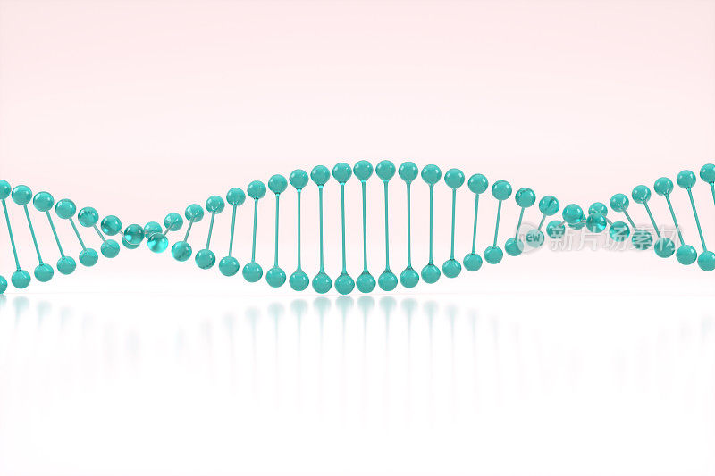 分子DNA螺旋，分子结构