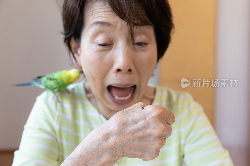 老女人和宠物鸟玩