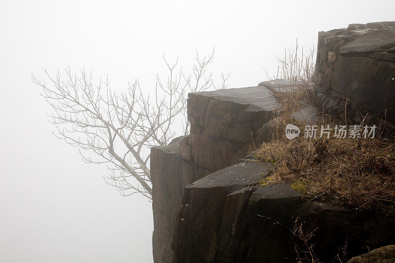 雾在岩石峭壁上