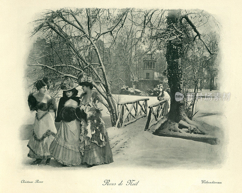 女人在冬日的雪地里行走，圣诞的玫瑰，维多利亚时代的蒙太奇，19世纪