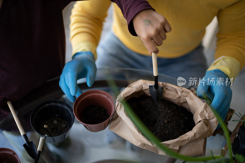 父亲和儿子在家里一起动手种花