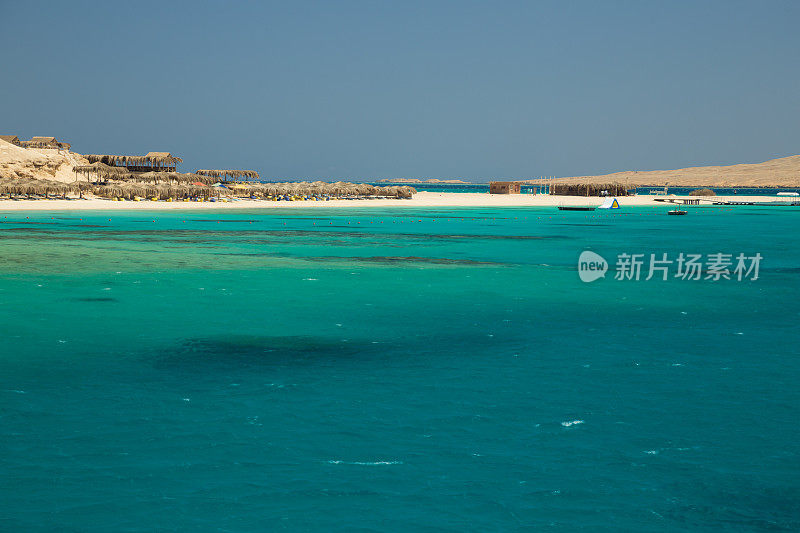 埃及红海的珊瑚礁