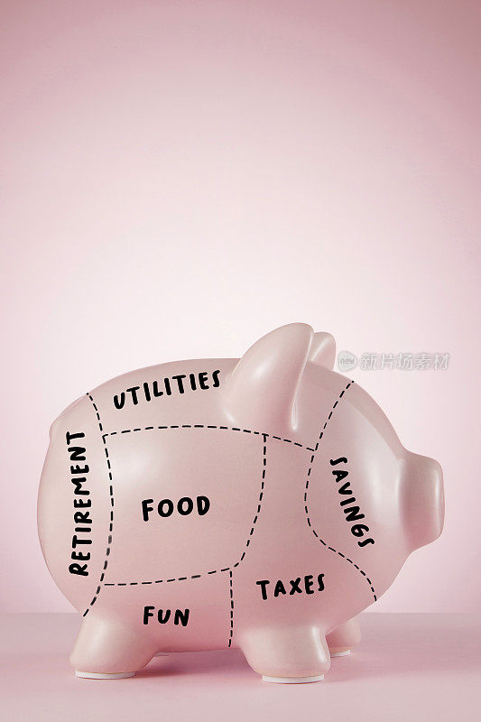 理财规划概念与小猪银行