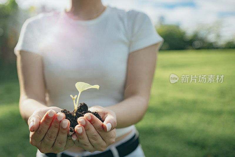 女人手握幼苗在朦胧的绿色自然。概念生态地球日