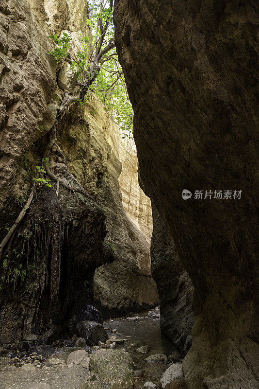 向下看峡谷中弯曲的小溪与沉积层的墙壁和树木生长在钟乳石形成