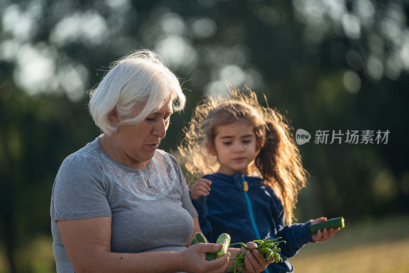 老妇和孙女抱着新鲜蔬菜坐在户外的照片