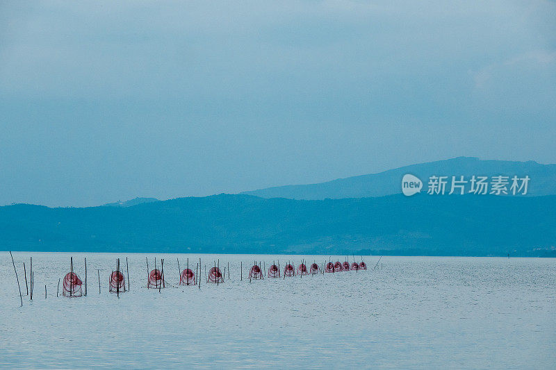 清晨湖面上的一排渔网(陷阱)(蓝色调)，背景是低矮的山脉