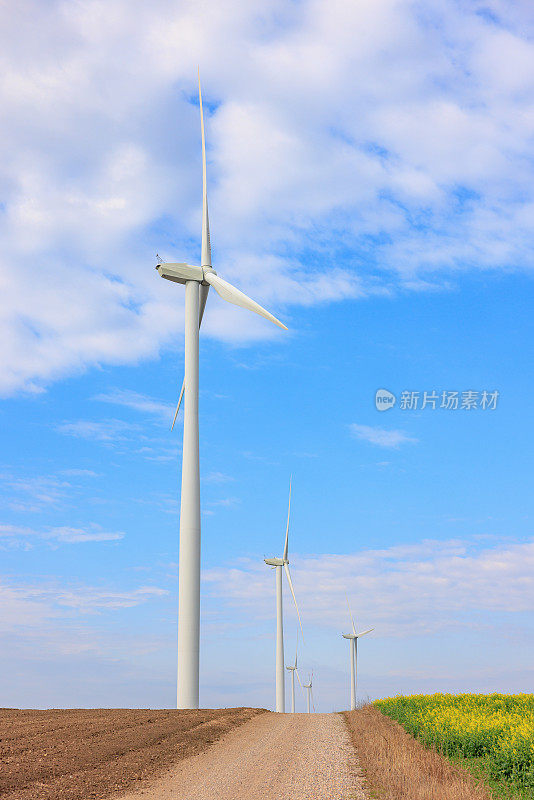春天，农田土路旁的风电场上一排排的风力涡轮机