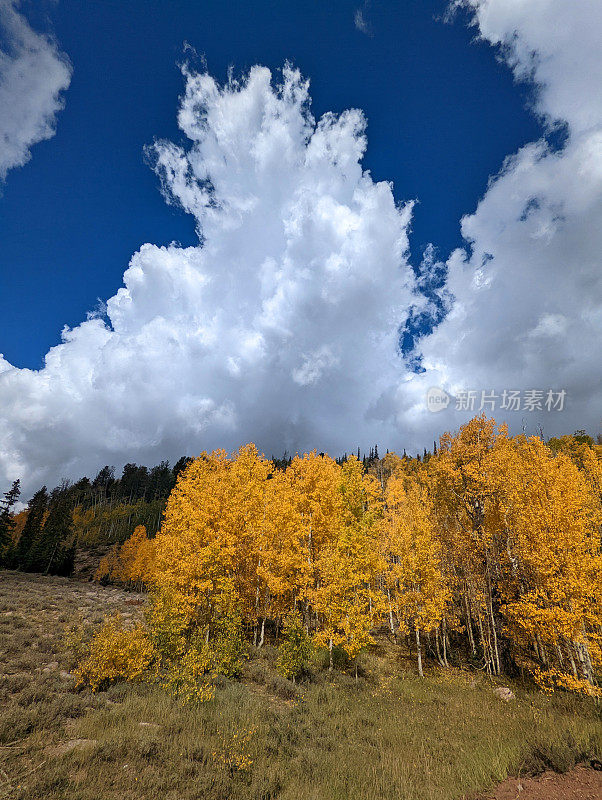 US-14的秋天色彩从雪松山到雪松破碎国家纪念碑和纳瓦霍湖犹他州