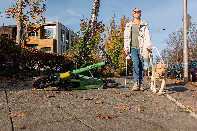 导盲犬安全地带领一名妇女绕过路上的滑板车