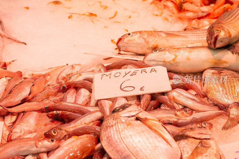 西班牙瓦伦西亚中央市场鱼市场的Mollera鱼