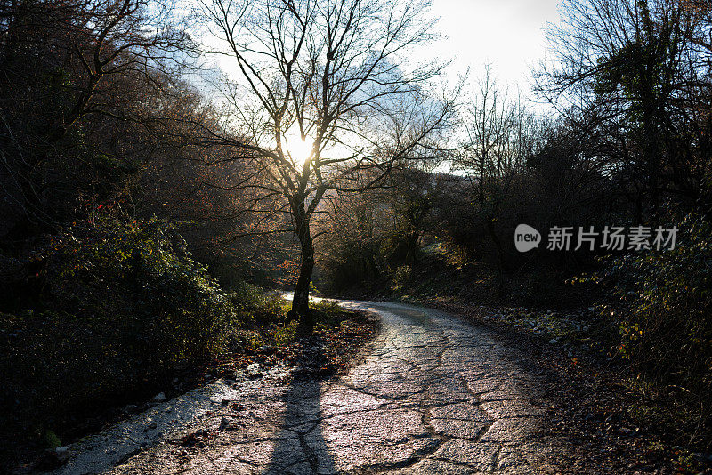 通往亚平宁冬季森林的道路