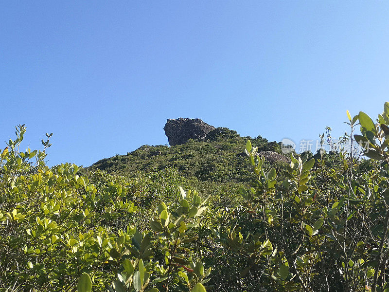 香港东龙洲岛鹰齿岩