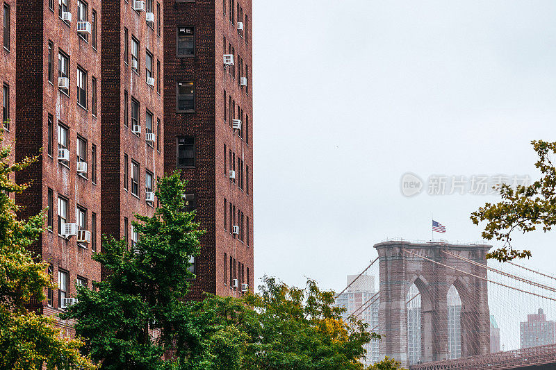 纽约市景