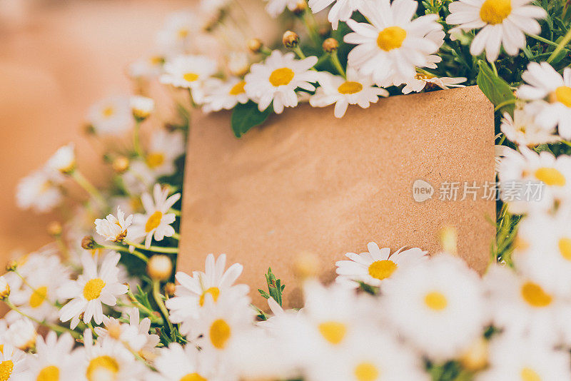 一张空的再生纸卡片躺在白色的雏菊中，作为你的复活节，春夏短信的模型