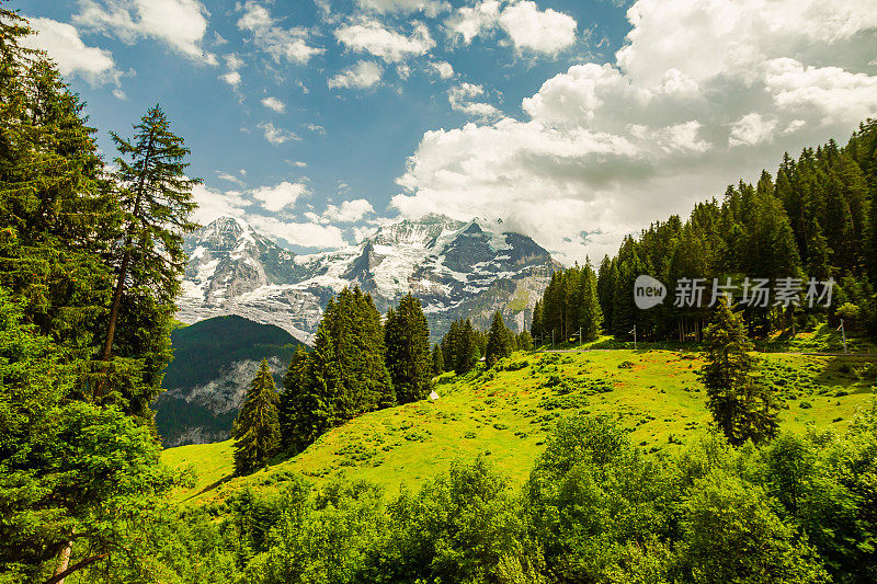 山的风景。Lauterbrunnen。瑞士。伯尔尼州。穆伦村庄。夏天。绿草