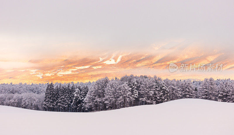 日出金光冬季山景日本