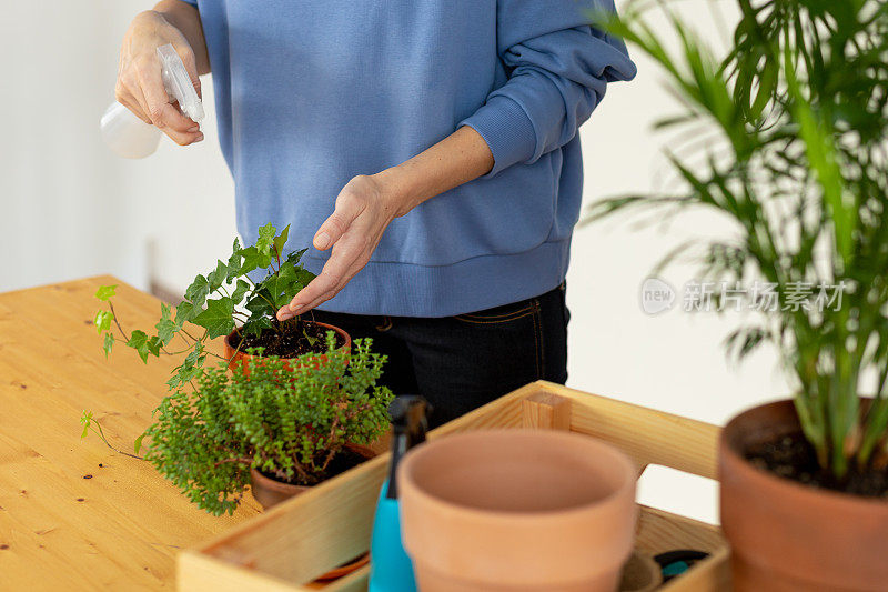 女人正在花盆里种花