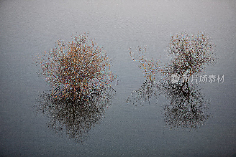 冬季河景