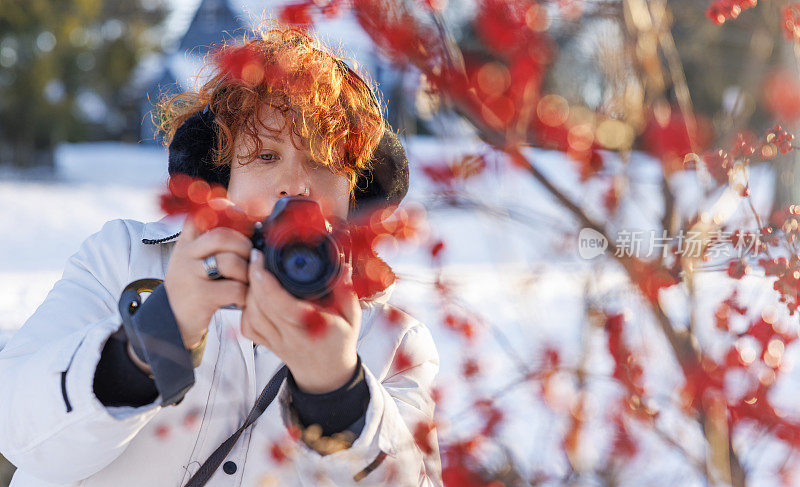 红色的冬季浆果摄影:姜女人喜欢在阳光明媚的雪地里拍照。
