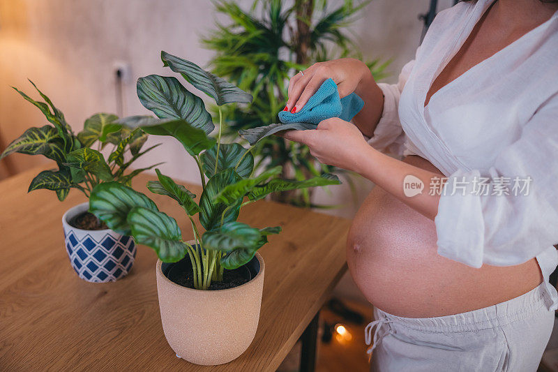 美丽的孕妇在家照顾她的植物