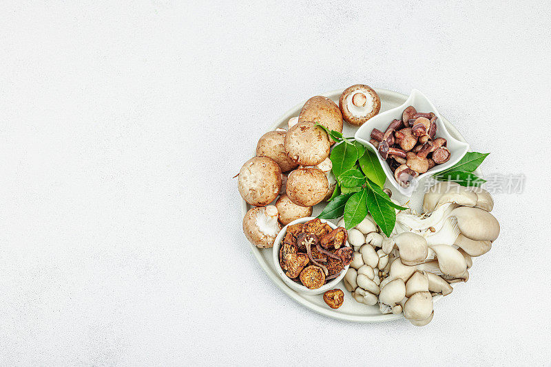 各式各样的蘑菇——新鲜的、干的和腌制的。牡蛎，奶油，牛肝菌和香菇