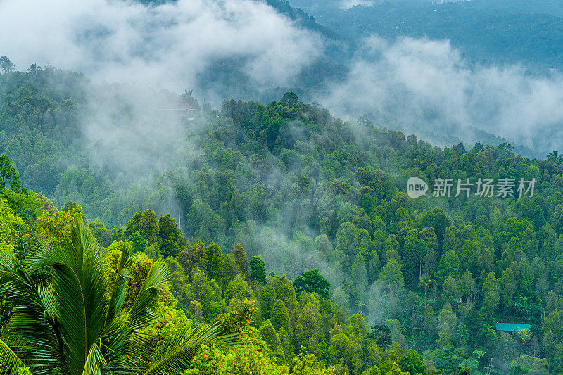 云雾缭绕的山峦覆盖着雨林。