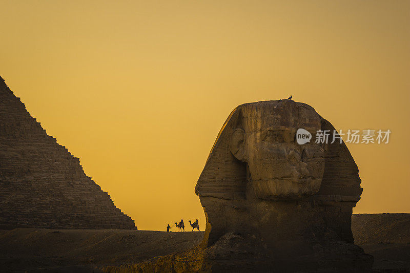 狮身人面像附近的吉萨金字塔提供骑骆驼的服务