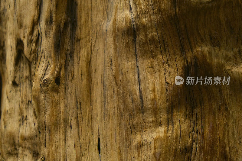 天然未经处理的木材表面具有自然形式的阴影和褶皱。