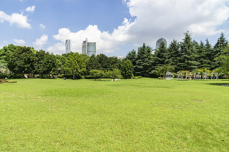 上海城市绿地，休闲散步的场所