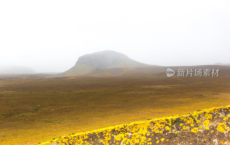 冰岛Hellissandur:秋季火山苔藓景观，石墙