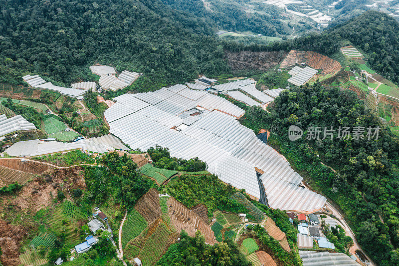 卡梅隆高地温室的鸟瞰图