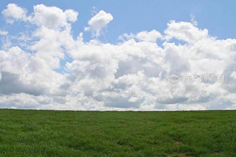 绿草蓝天的景观背景