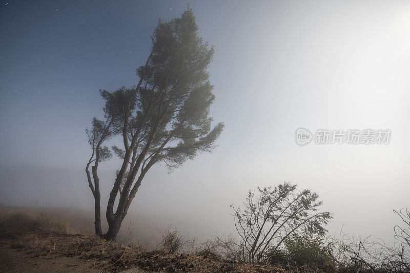 浓雾笼罩着加州马里布的圣莫尼卡山