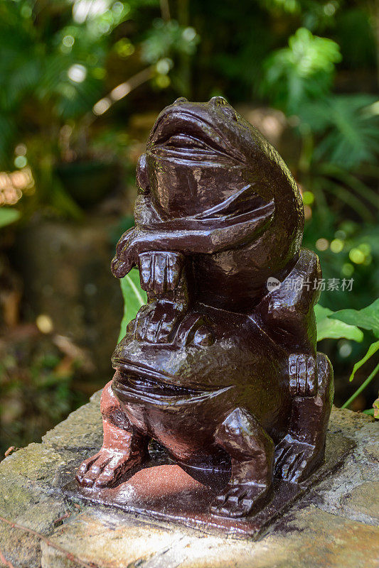 三亚市Yanoda公园热带森林中的青蛙雕像。海南岛,中国。