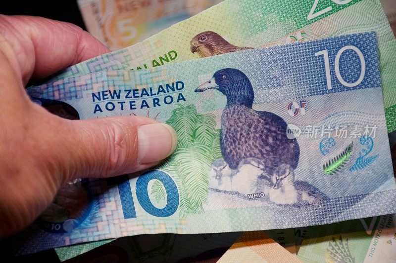 手握新西兰币(NZD)元