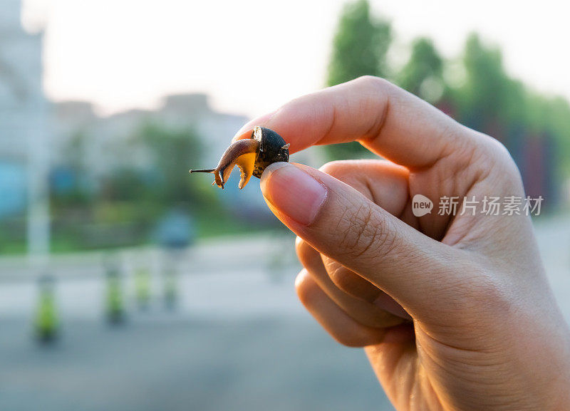 手里拿着蜗牛的女孩