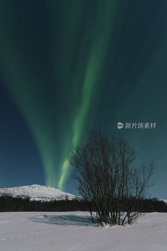 北极光挪威北部夜空中的北极光