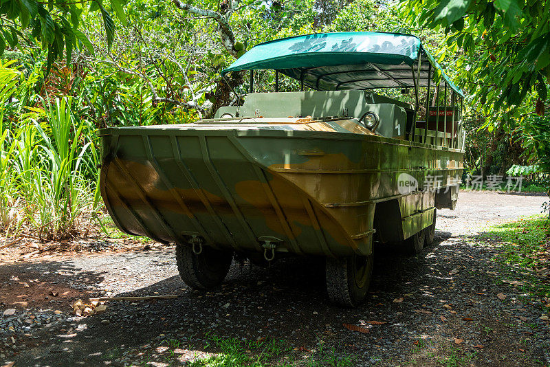 两栖车辆DUKW行驶在库兰达丛林，昆士兰，澳大利亚