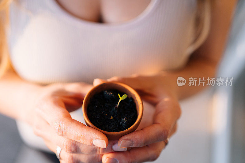 日出时分，年轻女子手持陶瓷播种机育苗