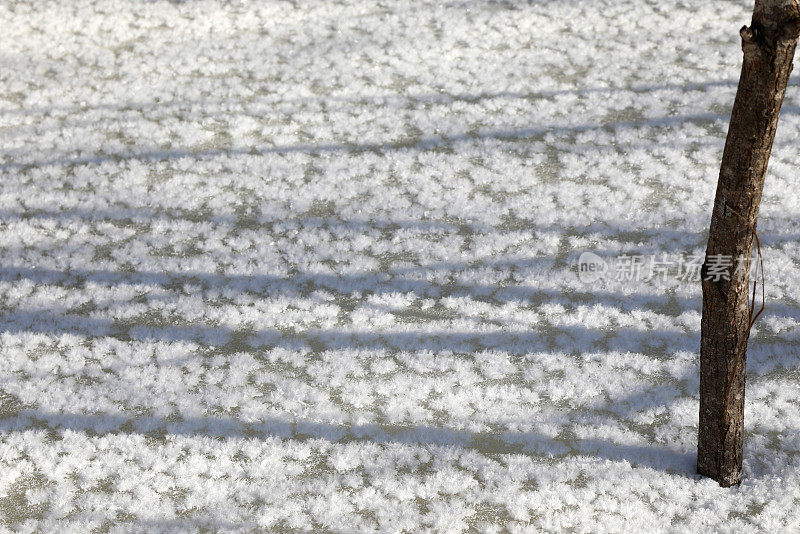 西伯利亚结冰的河流上的雪