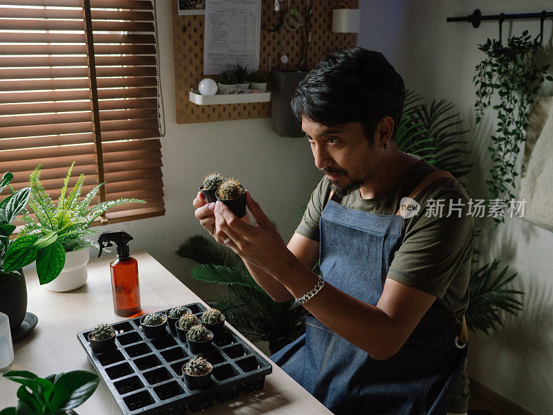 时髦的亚洲男人在家给室内植物浇水