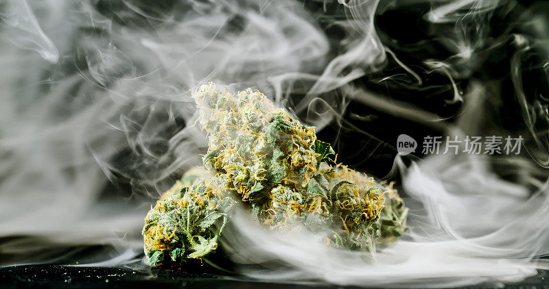 大麻花蕾被烟雾包围。大麻和烟雾。