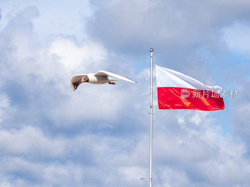 旗杆上飘扬着波兰的红白相间的国旗