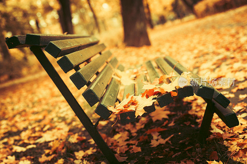 公园里的长椅，秋天