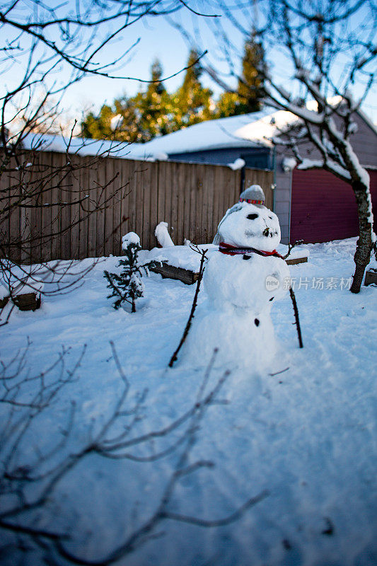 雪人建在前院太平洋西北冬季家