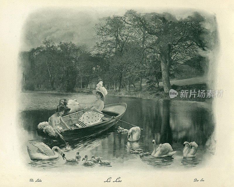 年轻女子在湖上划船，周围是天鹅，维多利亚时代的古董蒙太奇照片