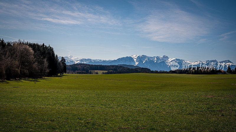 田园诗般的风景。瑞士的农田，树木和房屋。