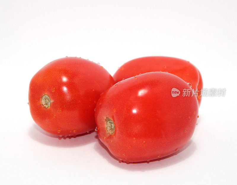 新罗马西红柿